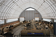 03 Dairy Barn
