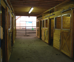 Patterson Creek stables within the riding arena structure.