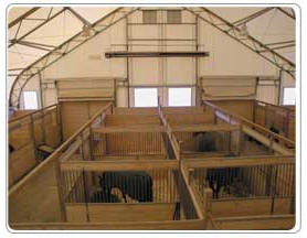 Inside View Top of Stables - Brooklyn Stables - Rounded Peak Fabric Building -  Commercial Equestrian Arena, Barn & Stables