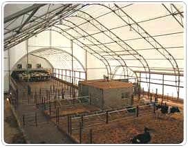 Hood's cattle building showing how much more air volume there is inside.