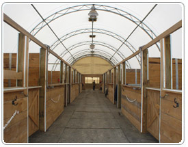 Ward Yaternick's Fabric Covered Stables - Milestones Building & Design