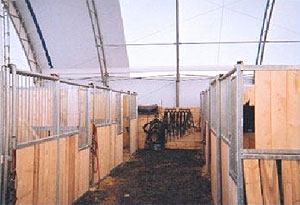 Ten stalls inside one end of the arena.