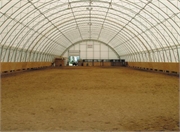 024 Arena with Stall Arch Building