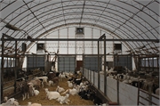 061 Goat Barn