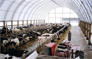 097 Dairy Barn - Arch Design Fabric Buildings - Milestones 360.366.3077