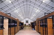 36 Commercial Stables
